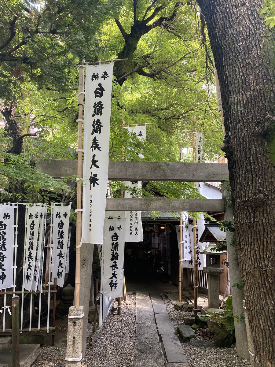 shininghope2021's tweet photo. 巳のトリプルデー
吉方の方位で神社巡り https://t.co/Tl0LHn2gng