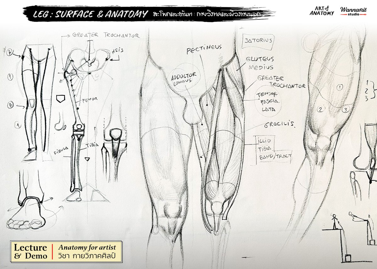 ⭕️ วิชา  𝗔𝗡𝗔𝗧𝗢𝗠𝗬 𝗳𝗼𝗿 𝗔𝗿𝘁𝗶𝘀𝘁 - กายวิภาคศิลป์ เพื่อการสร้างสรรค์ 
▶️ ตำแหน่งของกระดูก / กล้ามเนื้อ / ผิวหนัง
.
👉course : Anatomy for Artist รุ่น 62
- เปิดรับสมัคร อีก 5 วัน >> ทาง DM