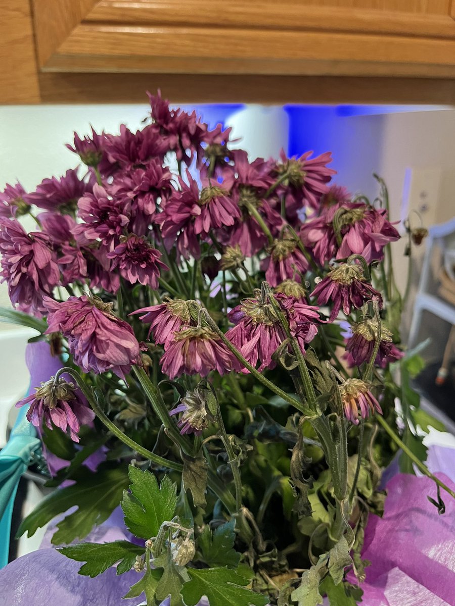 The flowers my autistic sons’ father got, for my son to give me.