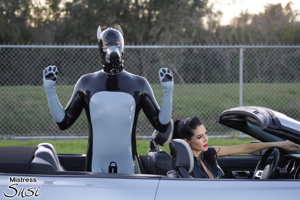 Mistress Susi 18+ (@mistress_susi) on Twitter photo Wie könnte man den Latex Köter besser vorzeigen, als bei einer offenen Fahrt mit dem Cabrio?!!
What better way could there be in showing off my Rubberpub?! <a href="/tightlyrubberd/">tightlyrubberd</a> Wie könnte man den Latex Köter besser vorzeigen, als bei einer offenen Fahrt mit dem Cabrio?!!
What better way could there be in showing off my Rubberpub?! <a href="/tightlyrubberd/">tightlyrubberd</a>