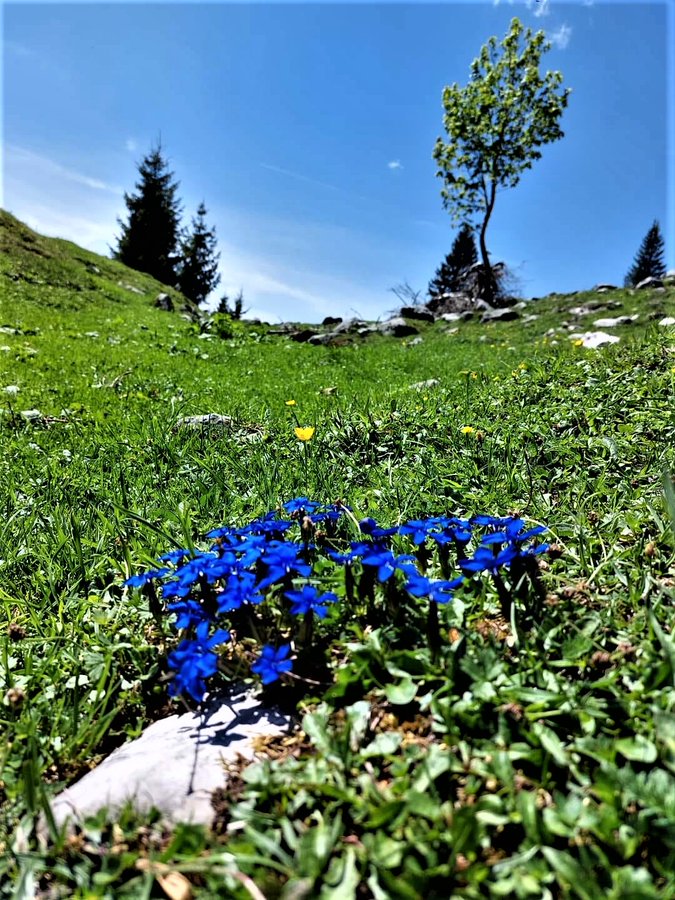 I wish my beloved and much appreciated fellow inhabitants of planet Earth a wonderful good morning and a blessed day on life's journey. May God bless you and may all your wishes come true.❤️💙💚☘️🌱🌿🌲🌳🍀💚