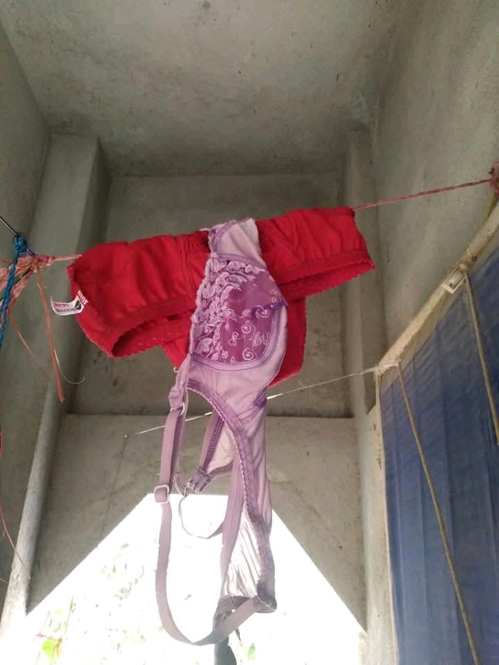 palm beach (@arorasalini) on Twitter photo 