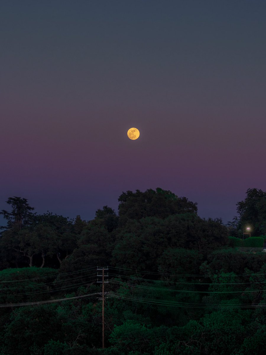 stormthemartian's tweet image. the full moon in scorpio ♏︎