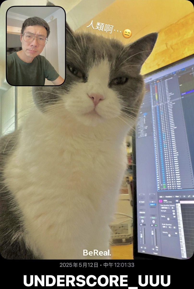 Modified
Overdubs
Mixing
#MusicDaily #Compose #Music #Producer #SoundDesigner #GameComposer #gamemusic #gameaudio #unclearranger #cat #cats #BritishShorthair #British #Shorthair