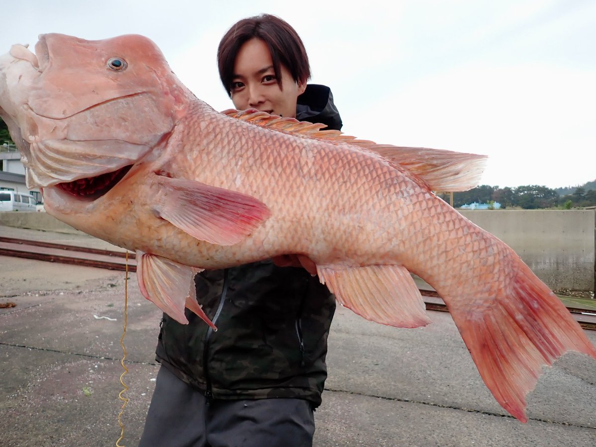 anyohoseo2's tweet photo. 瀬戸内モンスター🐟
岸壁の重戦車も7.5Hの手にかかれば瞬殺よぉ!!
#fishman
#comodo75H https://t.co/MCuvRUWAg0
