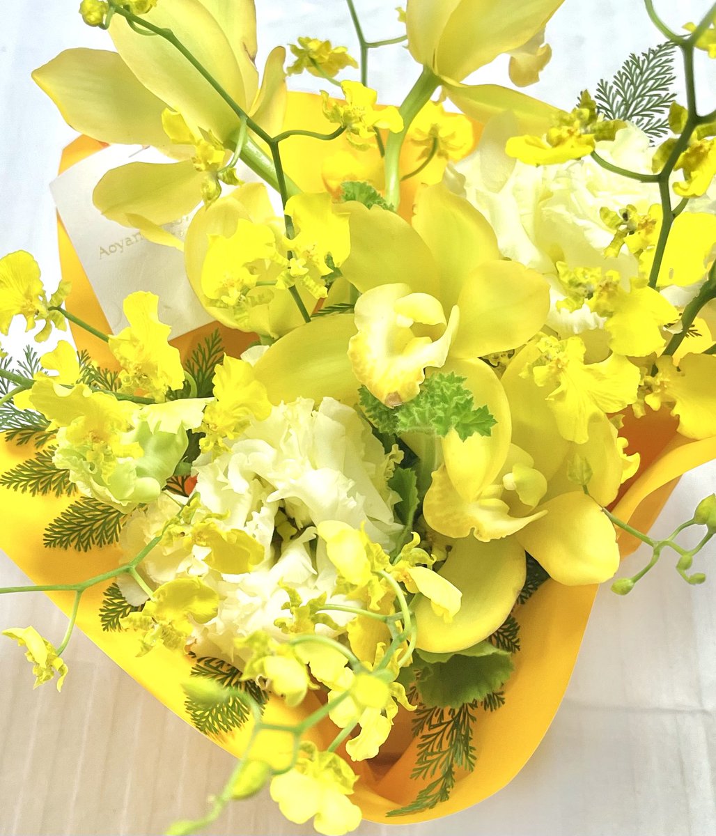 本日2️⃣2️⃣歳のお誕生日を迎えました✨
最近黄色にハマっているのですが、今年は編集部からいただいたお花が黄色で幸せです🌷新しいことを始められる1年にしたいです💞