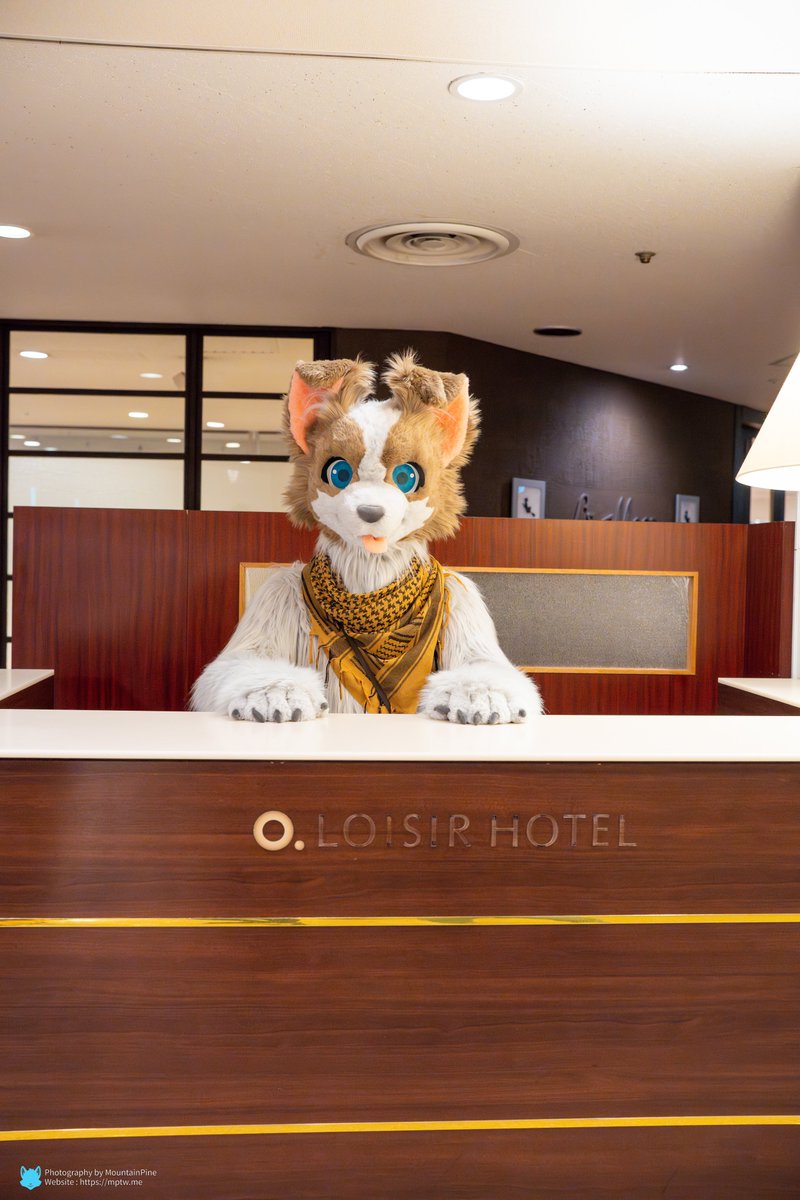 Collie on duty.

How can I help you today?

Cam: <a href="/MountainPineTW/">山松 MountainPine 🦊🐿️ ⏭️ Loading...</a>