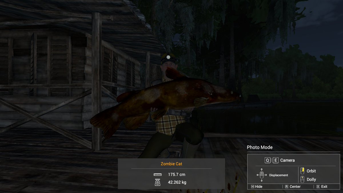 Zombie Cat - Quanchkin Lake