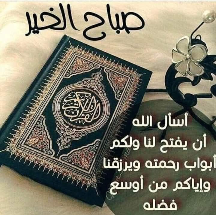 صباح محمل بالآمال الحالمة
صباح مبشر بعودة سالمة
صباح ملؤه التفاؤل والأمل
 صباح مكلل بالنجاح بالعمل
أمل يمحو ألم وعمل يمحو ملل وصباح يمحو كل هم وحزن
اسعدكم الله في الدارين
ورزقكم ما لم تحتسبون
صباح الخيرات والبركات