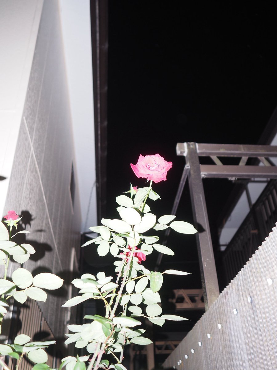rindaaason's tweet photo. https://t.co/ud3hrocoMo