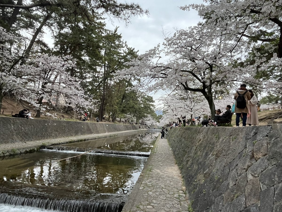 否定で人は変わらない。むしろ否定すればするほど、相手は自分の思い込みを強めて頑なになる。

だから今日は、否定をやめて肯定だけしてみよう。そうすれば、あなたの言葉がいかに人を動かせるかが分かるだろう。