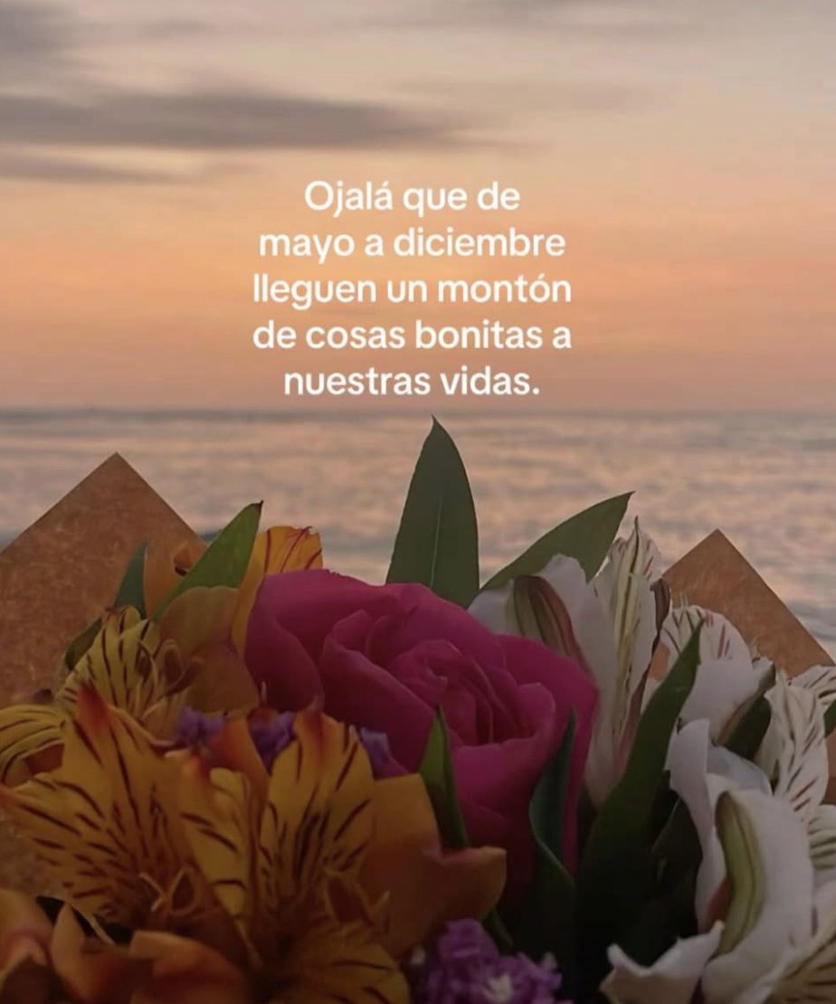 vibes (@vibesfyp) on Twitter photo 