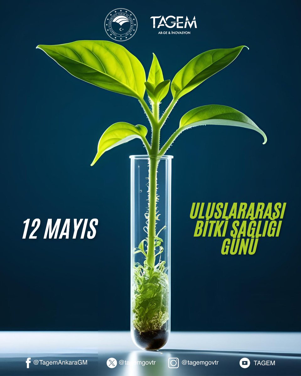 🌱Bitkileri tehdit eden zararlılar, hastalıklar ve iklim değişikliğiyle mücadele; sağlıklı tarımsal üretimin temelidir. 

🔍 Bitki sağlığının korunmasına yönelik bilimsel araştırmalar ve stratejik uygulamalarla bu küresel sorumluluğu taşımaya devam ediyoruz.

12 Mayıs Uluslarası