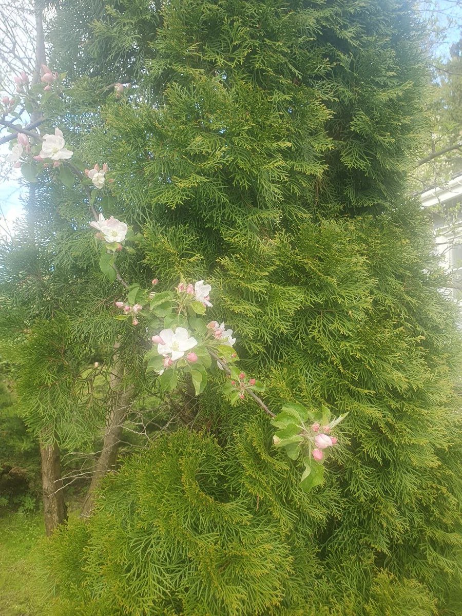 Sergey Agafonov (@sergagafonov) on Twitter photo 