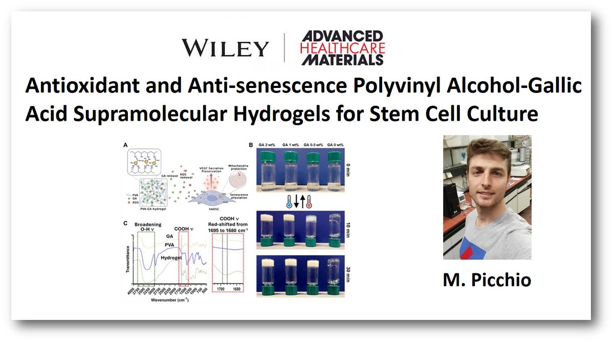 CalderonLab (@calderon_lab) on Twitter photo Happy to share our latest publication in
@AdvSciNews <a href="/AdvPortfolio/">Advanced Portfolio News</a>, on gallic acid-based hydrogels for stem cell culture. Thanks Nan Ma and team for the collaboration! Congrats <a href="/MatiasPicchio/">Matias Picchio</a>!
@POLYMAT_BERC, <a href="/Ikerbasque/">Ikerbasque</a>, <a href="/ehu_kimika/">Kimika Fakultatea UPV/EHU</a>
advanced.onlinelibrary.wiley.com/doi/10.1002/ad… Happy to share our latest publication in
@AdvSciNews <a href="/AdvPortfolio/">Advanced Portfolio News</a>, on gallic acid-based hydrogels for stem cell culture. Thanks Nan Ma and team for the collaboration! Congrats <a href="/MatiasPicchio/">Matias Picchio</a>!
@POLYMAT_BERC, <a href="/Ikerbasque/">Ikerbasque</a>, <a href="/ehu_kimika/">Kimika Fakultatea UPV/EHU</a>
advanced.onlinelibrary.wiley.com/doi/10.1002/ad…