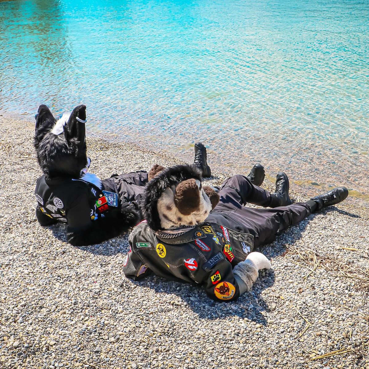 Hot days, Cold nights

#FursuitEveryday #furry #fursuit #fursuiting