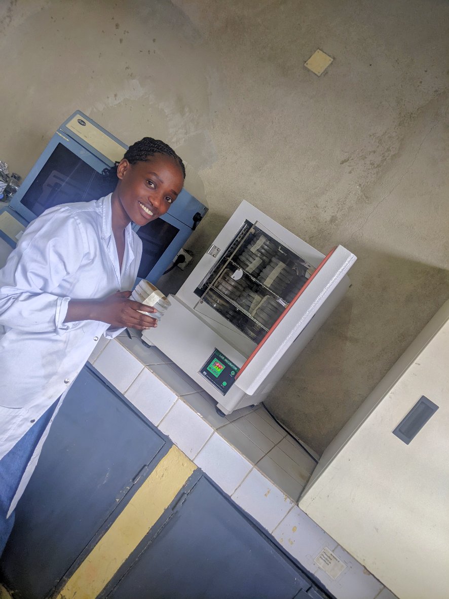 _Trichia_'s tweet image. We're culturing beneficial bacteria and fungi to enhance plant growth and improve soil health. These microbes play a vital role in nutrient cycling, disease resistance, and sustainable agriculture. Research like this paves the way for eco-friendly farming solutions #Microbiology