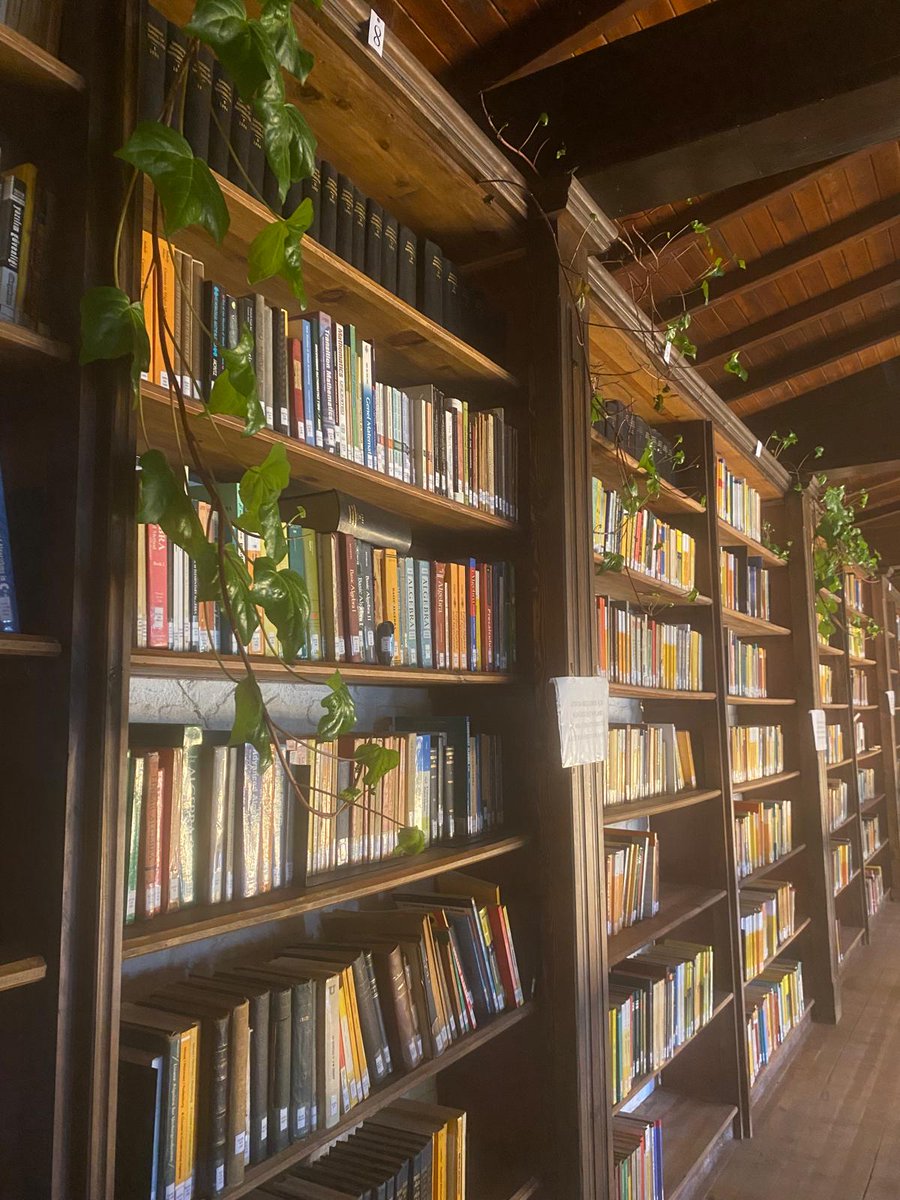 Matematik öğrencileri dikkat! Bu yaz dünya matematikçileri Şirince'de buluşuyor. Her seviyeden 100'den fazla ders. nesinkoyleri.org/events/2025-nm…