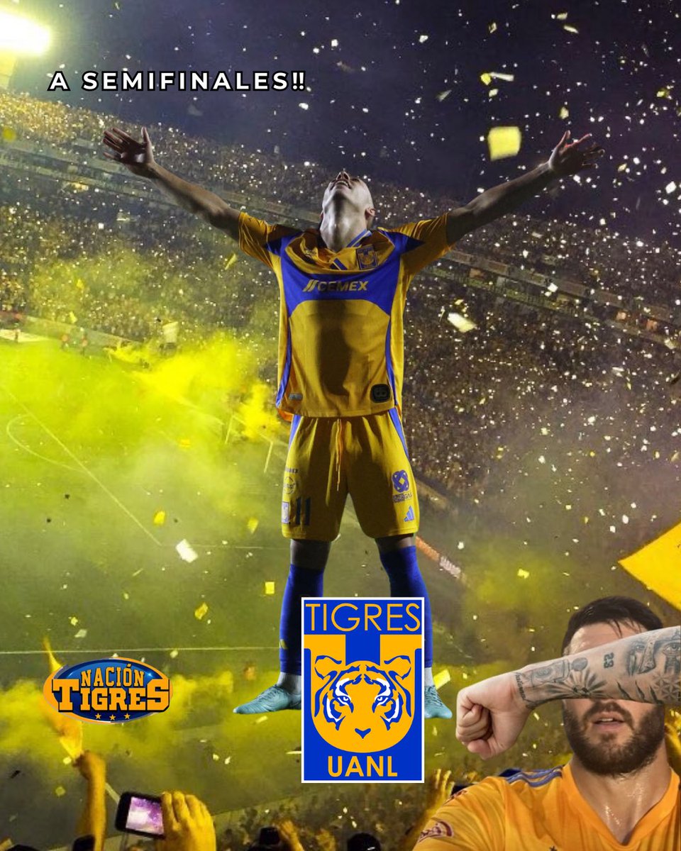 naciontigres's tweet photo. A SEMIFINALES CARAJO🇸🇪‼️‼️ https://t.co/z9W2WuTqhU