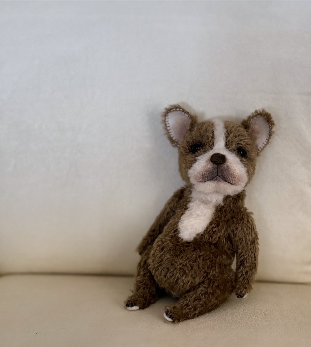 フォーンのフレブルちゃん🐾