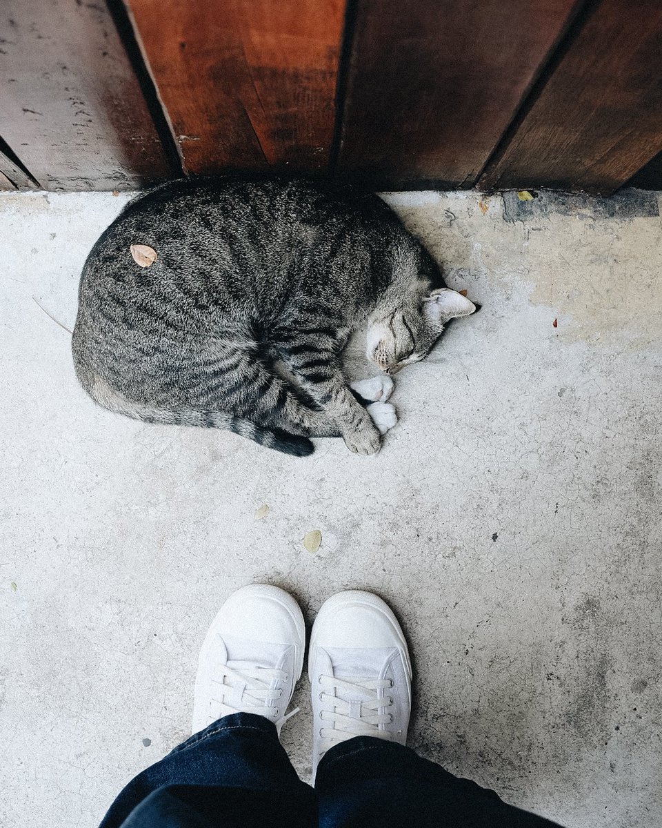 23millimeters's tweet photo. @Whaleautumnnnn ชายหนุ่มจรหน้าร้านกาแฟ จกพุงยังงัยก็ไม่ตื่นค่ะ 😂 https://t.co/OqsvtJPr0m