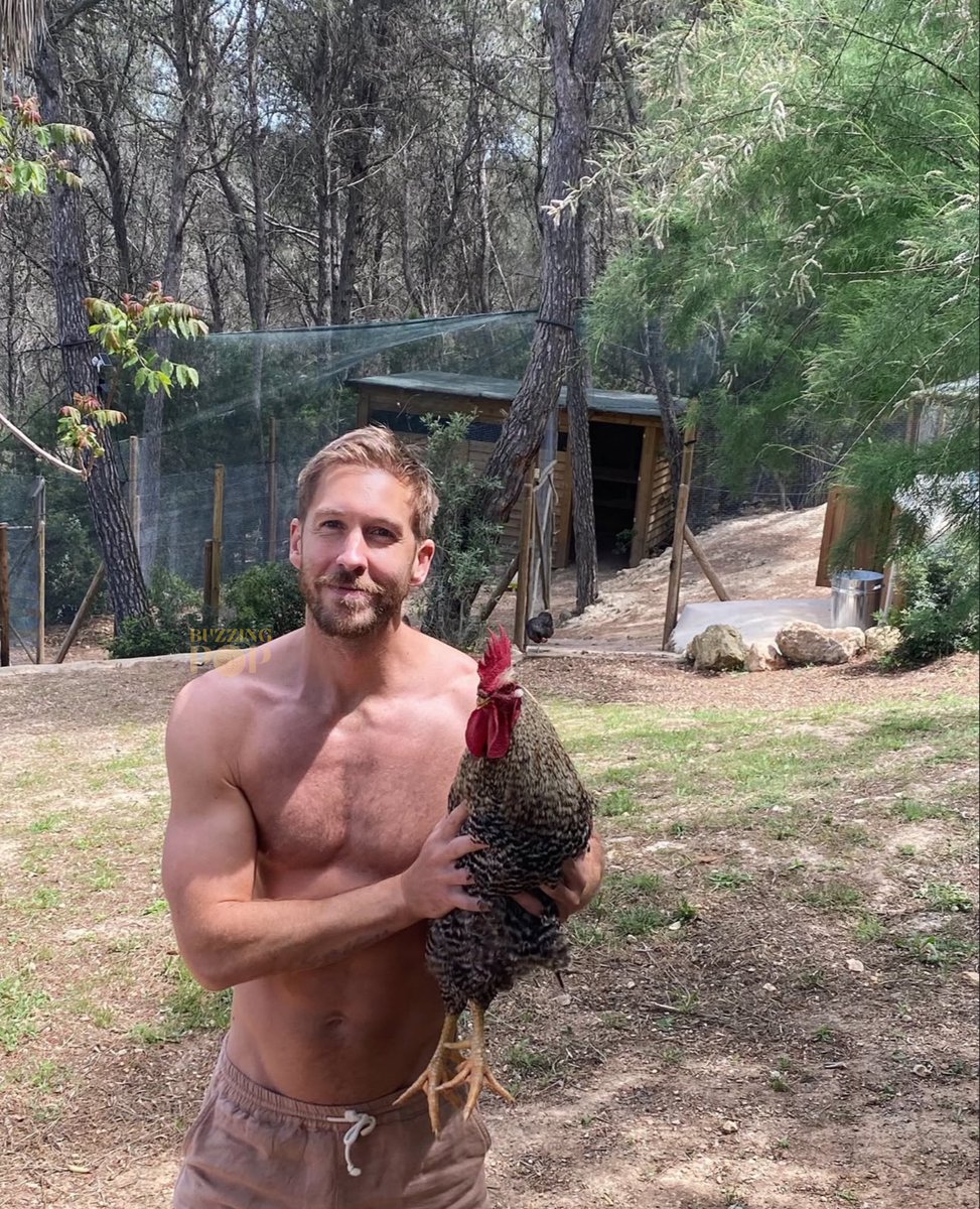 Calvin Harris poses with a rooster in new photo.