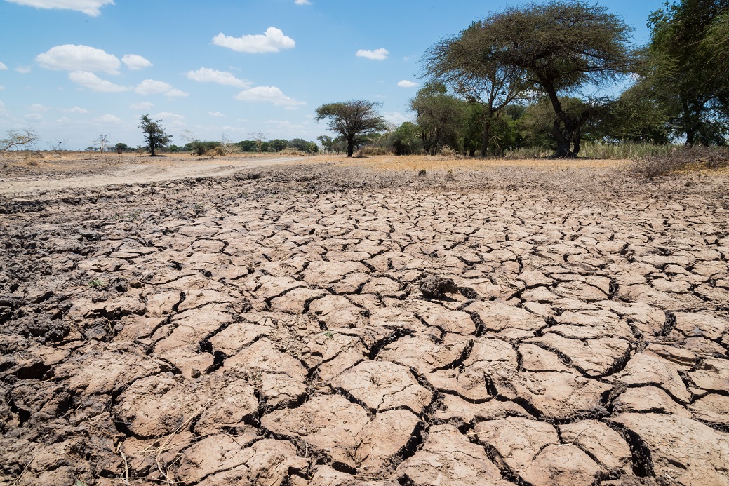 💧DYK? 
Groundwater quietly sustains vital ecosystems 🌿—especially in climate frontier areas 🌍. Like a hidden savings account 🏦, it supports life even during droughts when rain disappears. More: wrld.bg/Kv9r50VC9Jr

#NatureSecrets 🤫🌱