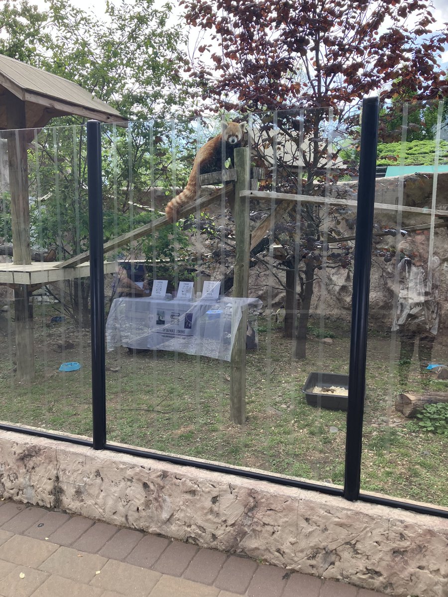 Ree Augustine-MG Author tweet media