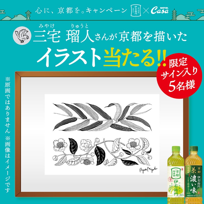 松本セイジ 伊右衛門 キャンペーン 当選品 サイン入り 限定5枚 伊右