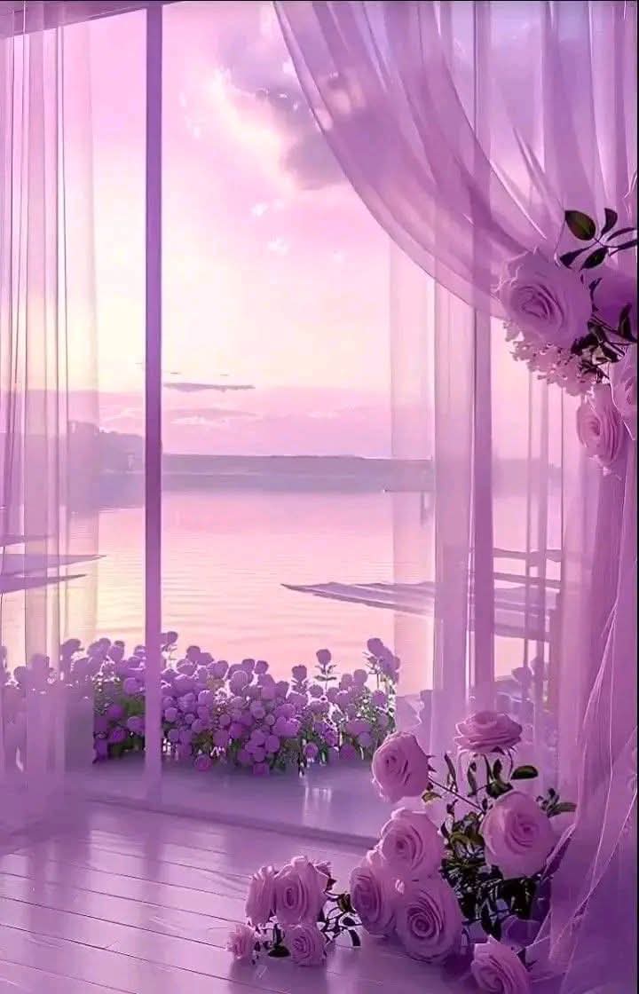 Tazecik umutlara...

G ü n a y d ı n 💜☕