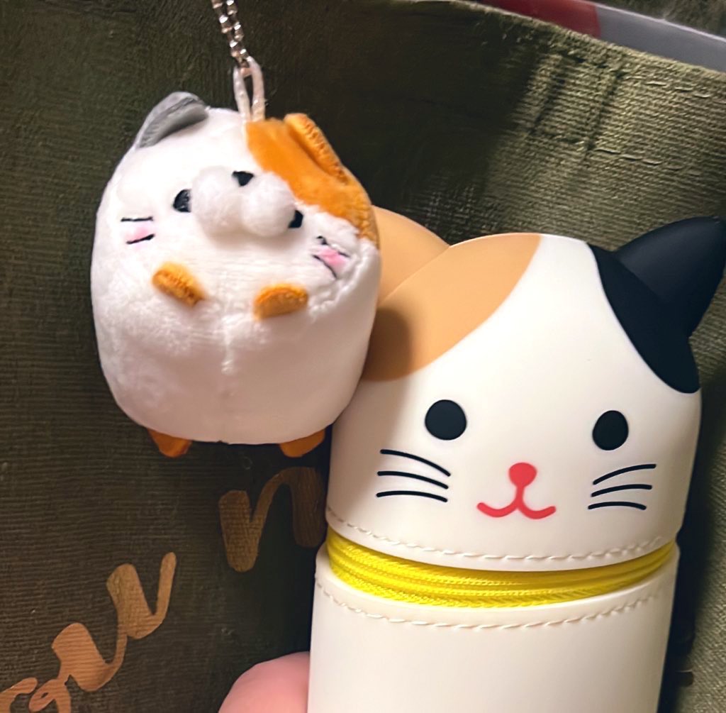 そよ猫 🐈🍃 tweet media