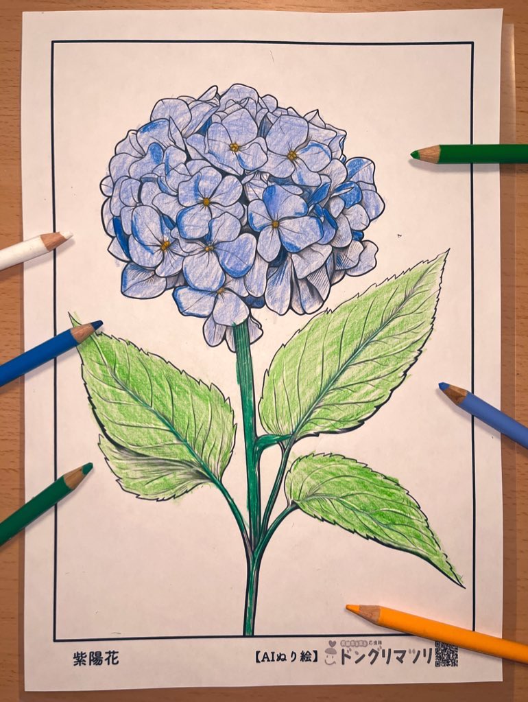 そよ猫 🐈🍃 tweet media