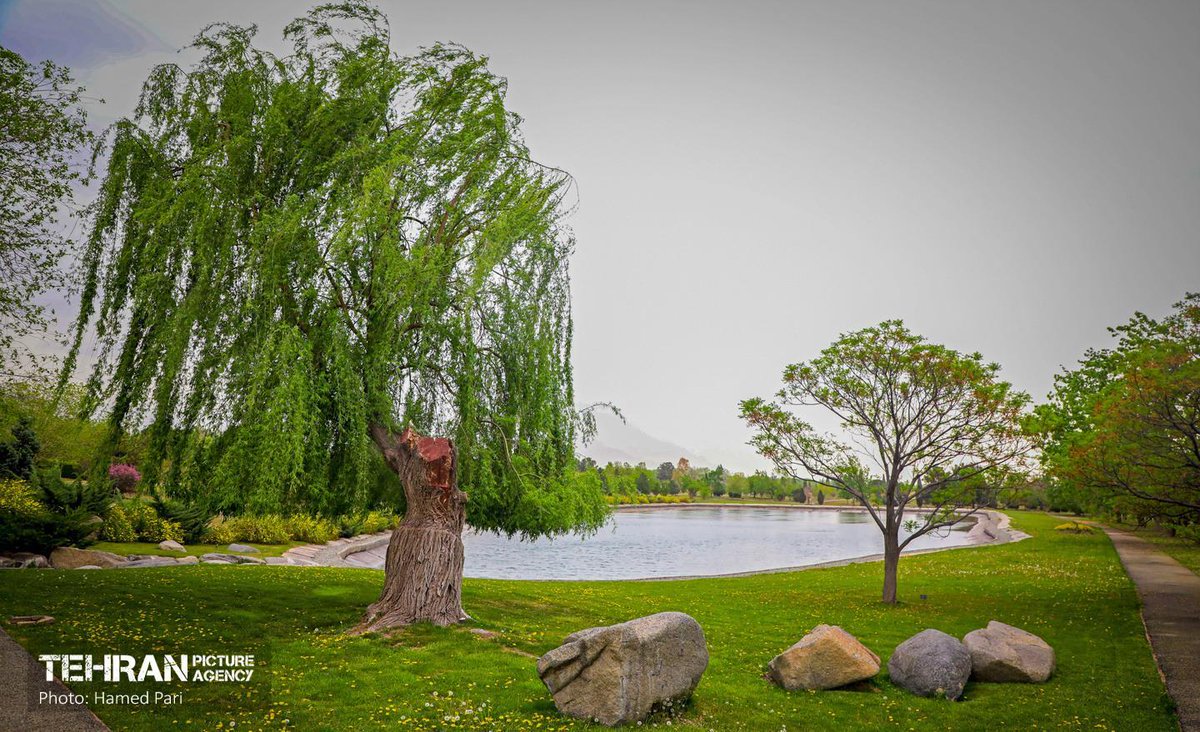 VisitIran3's tweet image. National Botanical Garden, #Tehran, #Iran
📸: Hamed Pari
#ایران، #تهران
باغ گیاهشناسی