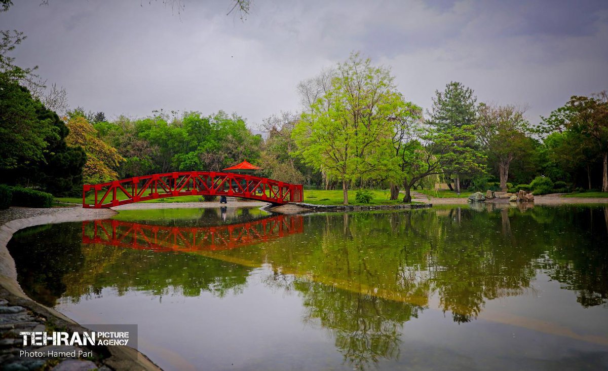 VisitIran3's tweet image. National Botanical Garden, #Tehran, #Iran
📸: Hamed Pari
#ایران، #تهران
باغ گیاهشناسی