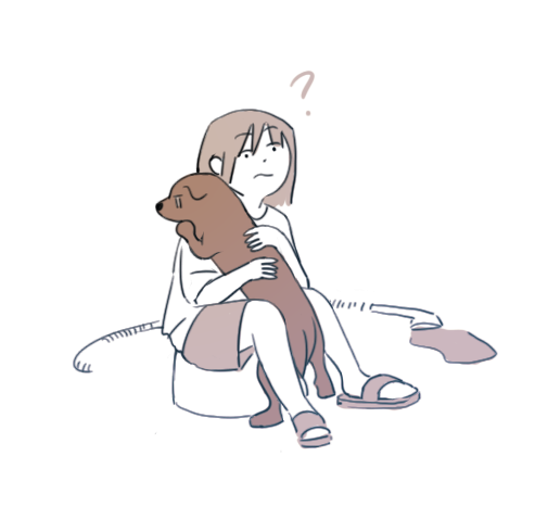 아까 강아지 목욕시키는데 제발그만하라면서 품으로 들어와서 안기는거임 아니 씻기는사람이 난데 나한테 그래봐야.....
영문을 몰랏지만 어쨋든 잠시 강아지를 안아주엇다