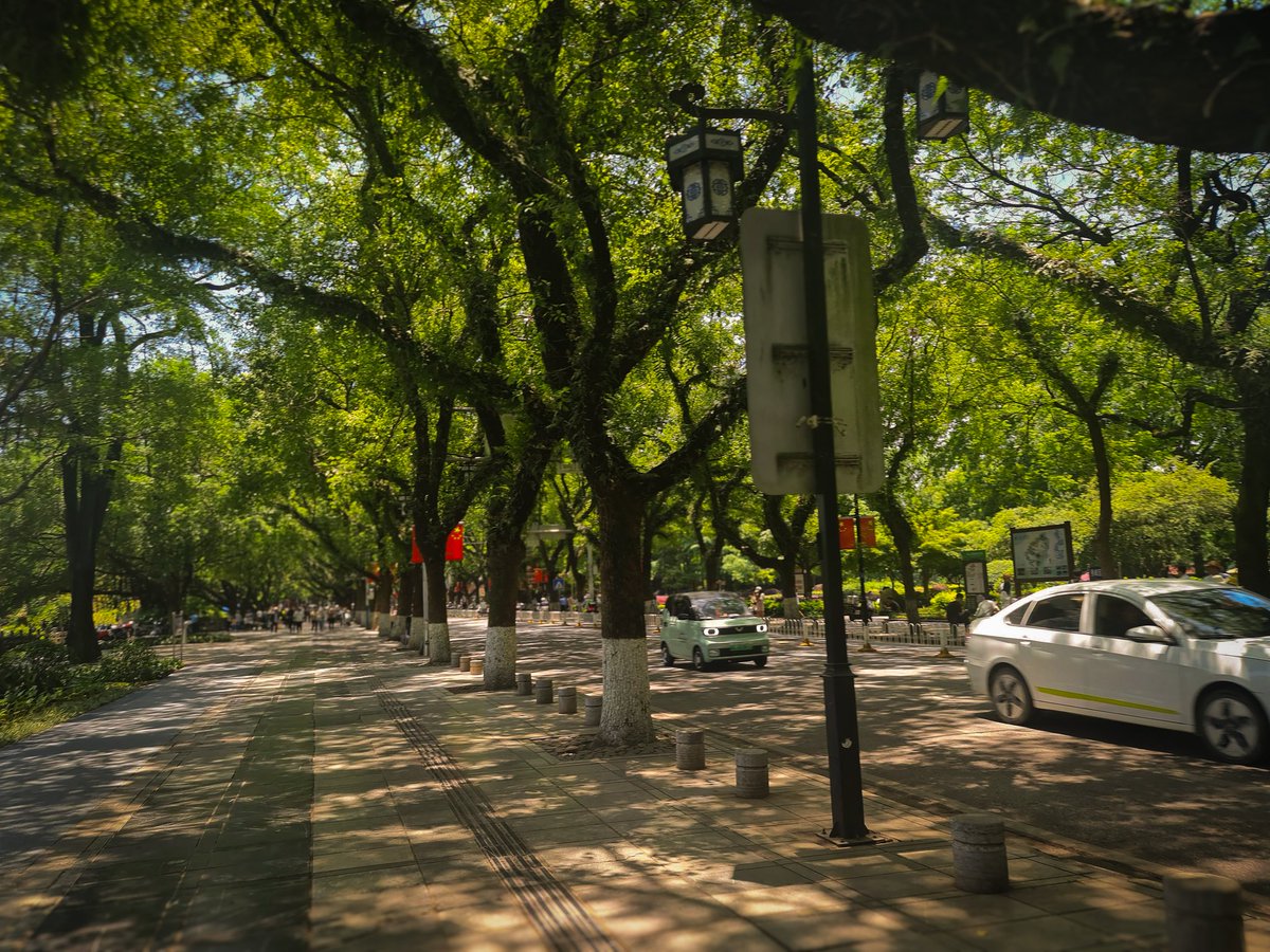 itskeizaki's tweet image. Guilin G nya "Green". Enak naik sepeda disini