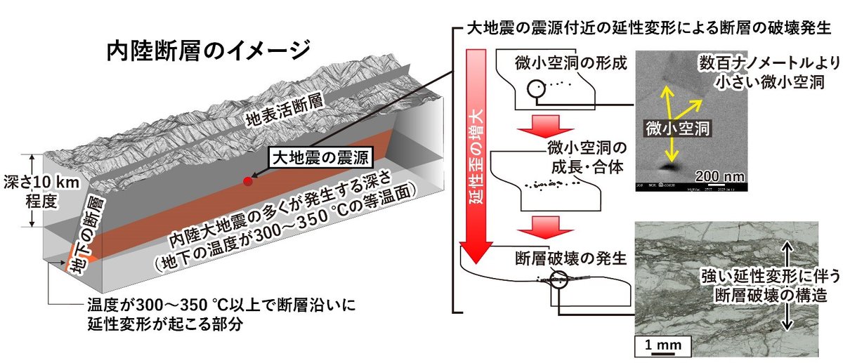 筑波大学 on X: 