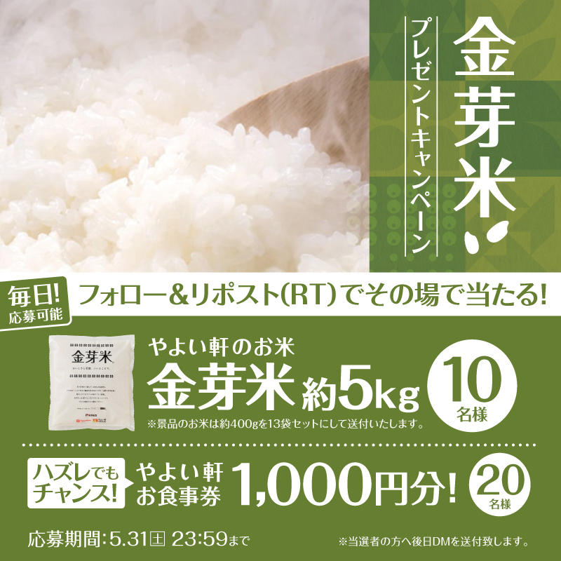 【本日10日目】
毎日応募可能!その場で当たる🎯
金芽米プレゼントキャンペーン💝

画像内の景品を抽選で10名様に🎁
Wチャンスも🤩

応募方法
① #やよい軒 (<a href="/yayoiken_com/">やよい軒【公式】</a>)をフォロー
②この投稿をリポスト
③その場で当選者にDMが届く

5.31(土)迄
#今日によいもの