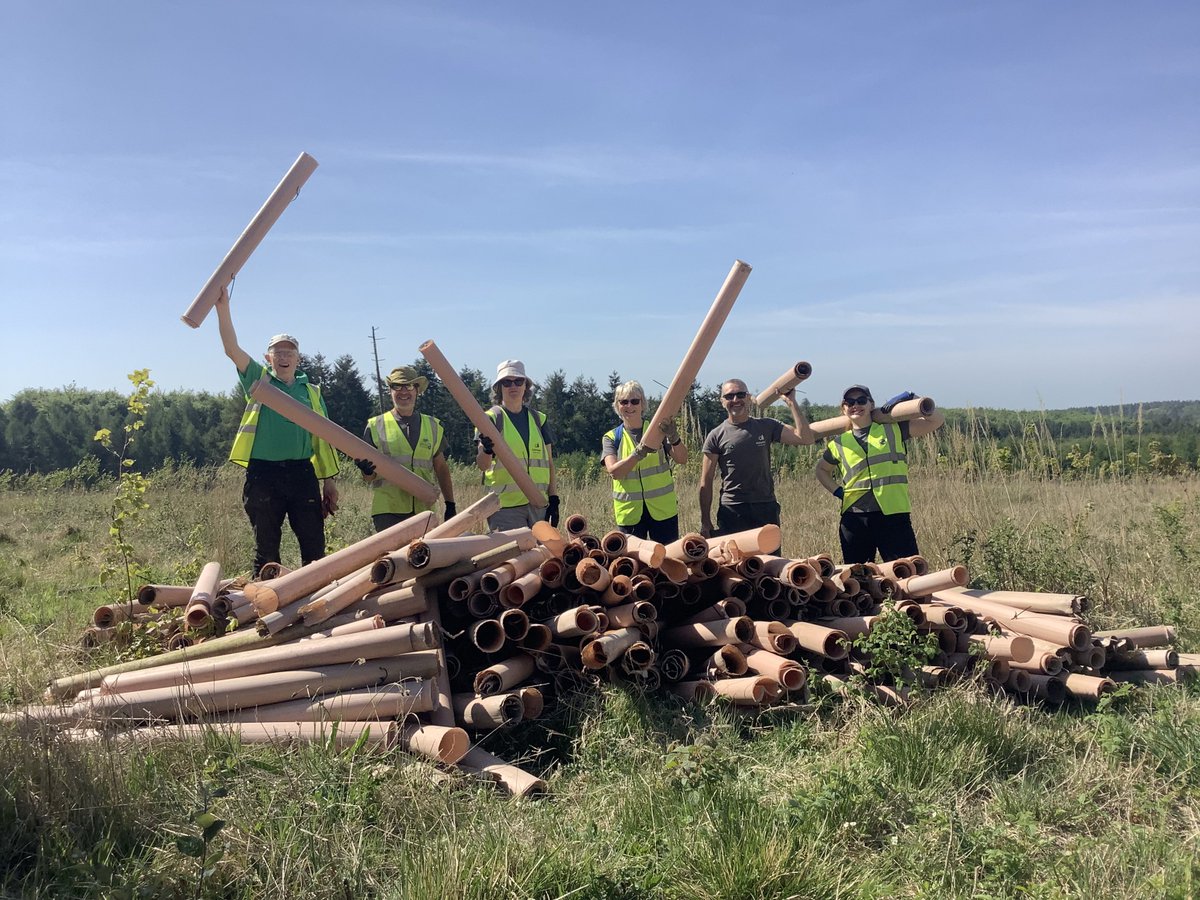 friendsofdalbyforest.wordpress.com/2025/05/11/the…