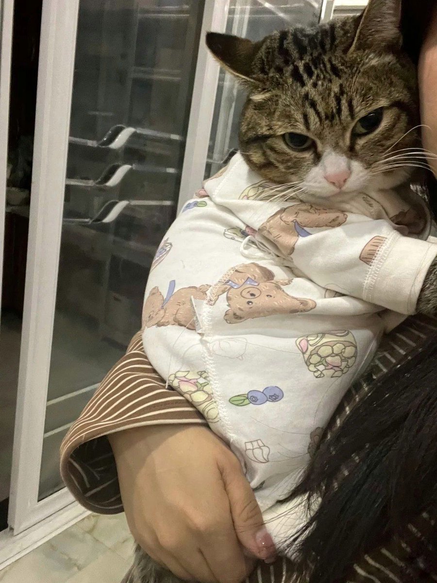baby is babying