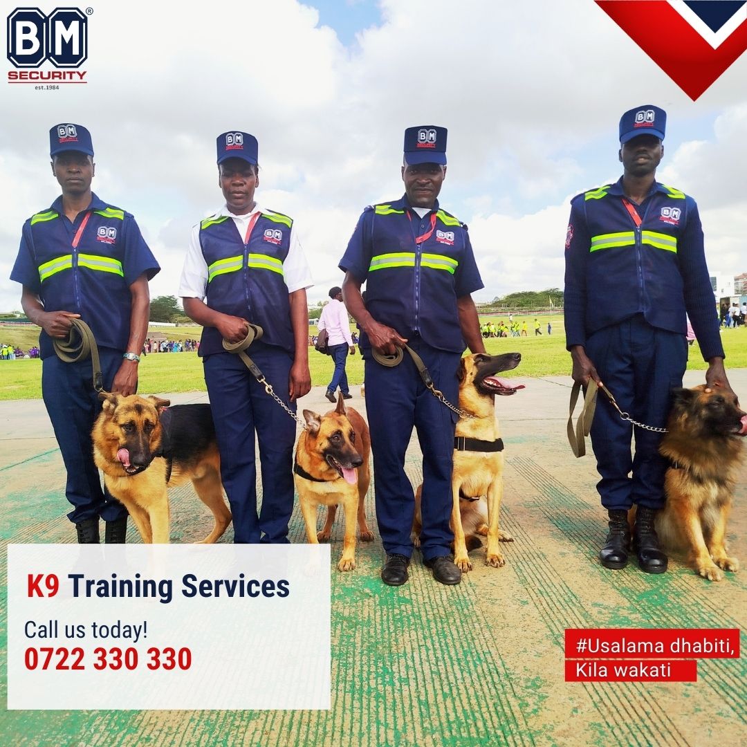 Do you have a German Shepherd, Malinois, or Boerboel? These breeds thrive with structure, and we specialize in it. Let our professional trainers shape your dog into a reliable protector and loyal companion.
#K9Training