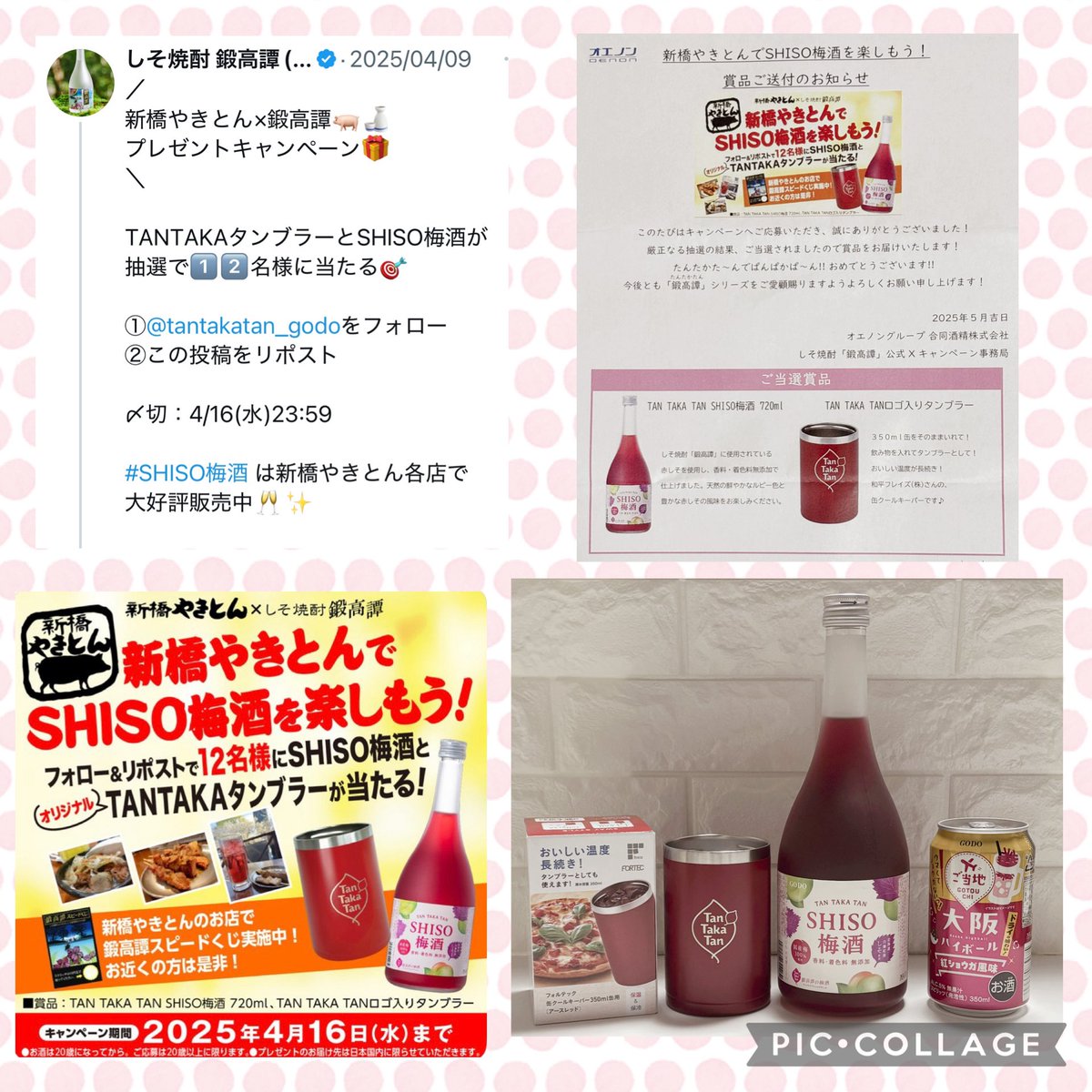 ðâšã¢ããâšð (@aroma7117) on Twitter photo éé«è(ãããããã)/ååé
粟ãå
¬åŒãæ§
(<a href="/tantakatan_godo/">éé«è(ãããããã)/ååé
粟ãå
Œ΋</a> )
ãæ°æ©ãããšãã§SHISOæ¢
é
ãæ¥œãããïŒããã£ã³ããŒã³ã§åœéžâš
ðTAN TAKA TAN SHISOæ¢
é
720ml
ðTAN TAKA TAN ããŽå
¥ãã¿ã³ãã©ãŒ
ð倧éªãã€ããŒã« çŽ
ãããã颚å³350ml猶
ã»ããã§é ããŸããð
ãã®åºŠã¯ããããšãããããŸããð éé«è(ãããããã)/ååé
粟ãå
¬åŒãæ§
(<a href="/tantakatan_godo/">éé«è(ãããããã)/ååé
粟ãå
Œ΋</a> )
ãæ°æ©ãããšãã§SHISOæ¢
é
ãæ¥œãããïŒããã£ã³ããŒã³ã§åœéžâš
ðTAN TAKA TAN SHISOæ¢
é
720ml
ðTAN TAKA TAN ããŽå
¥ãã¿ã³ãã©ãŒ
ð倧éªãã€ããŒã« çŽ
ãããã颚å³350ml猶
ã»ããã§é ããŸããð
ãã®åºŠã¯ããããšãããããŸããð