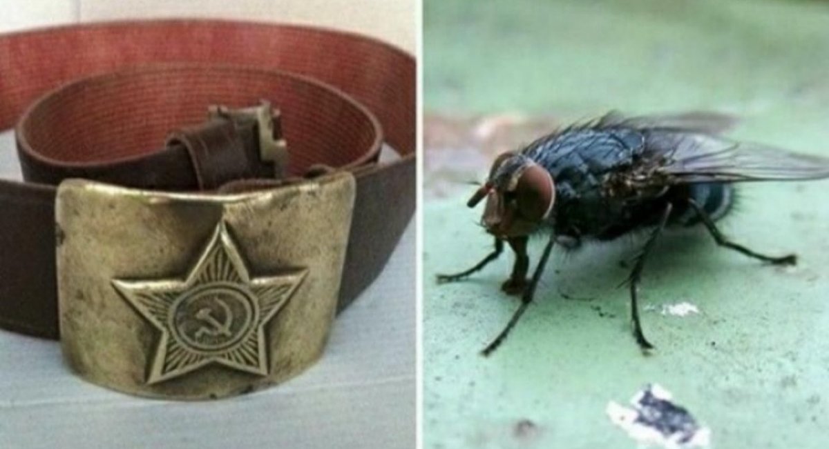 Dranicoff tweet media