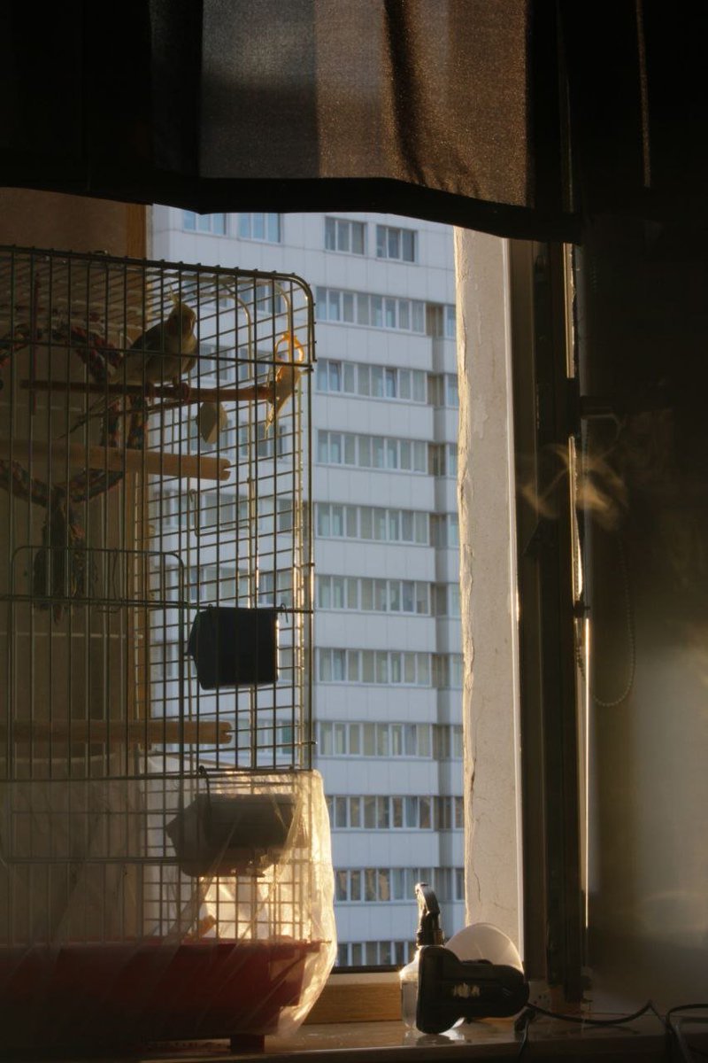 cozy highlights/March 2025