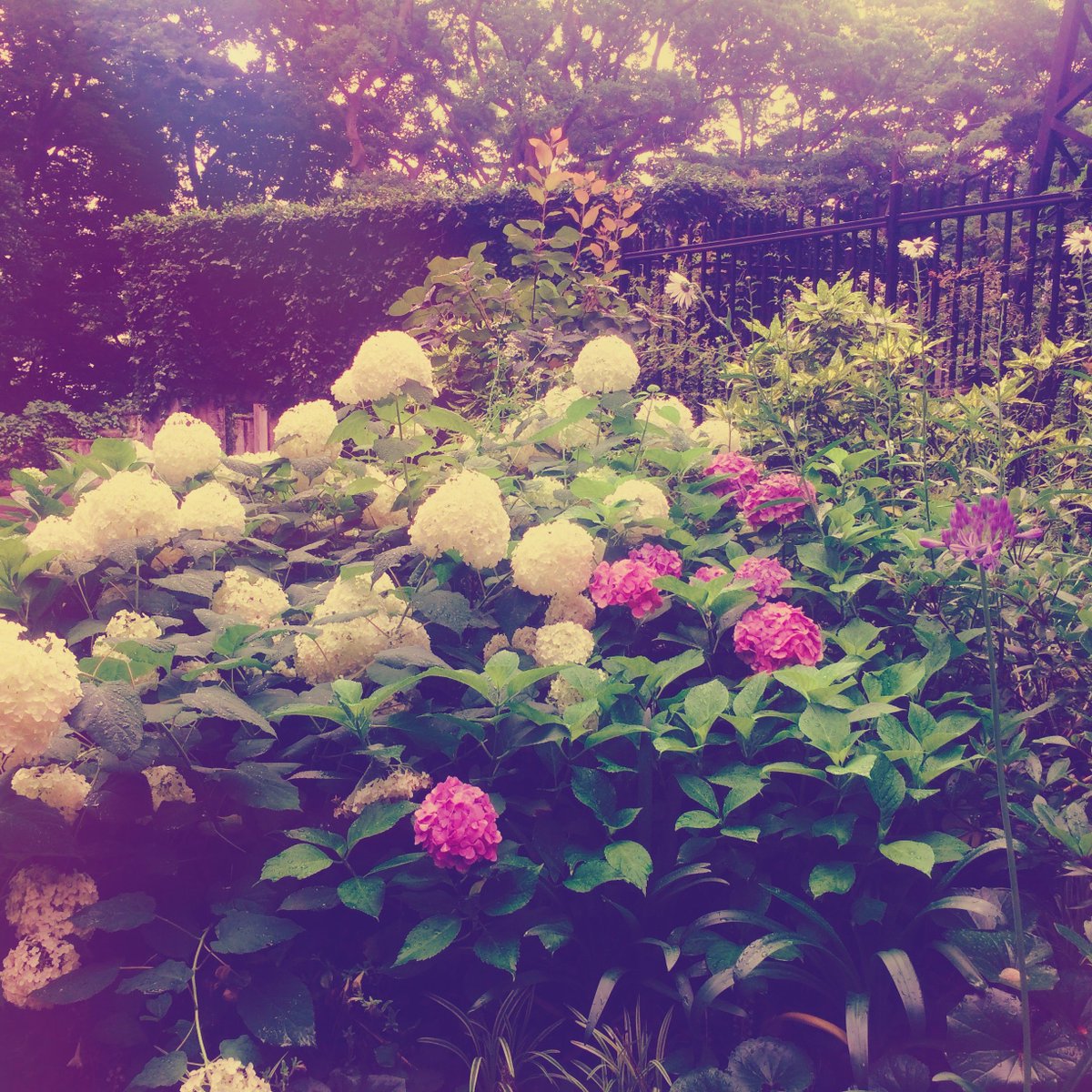 パレード・ホライゾン-PARADE HORIZONS- (@PARADE_HORIZONS