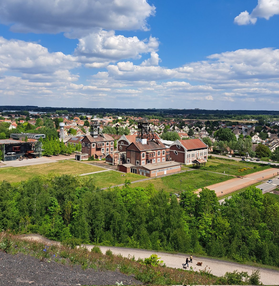 I had the great pleasure of attending the APF annual congress in #Lille last week! Deeply honored to have received the award for the best talk on an ongoing PhD 🦌🧠🏝
Many thanks to the organizers and to the inspiring researchers I had the chance to meet and learn from!