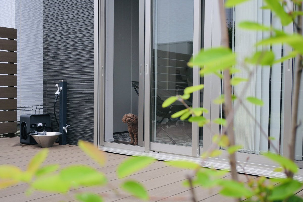 #写真好きな人と繋がりたい
#ガーベラ
#ガルネビアマジェスティクライトピンク