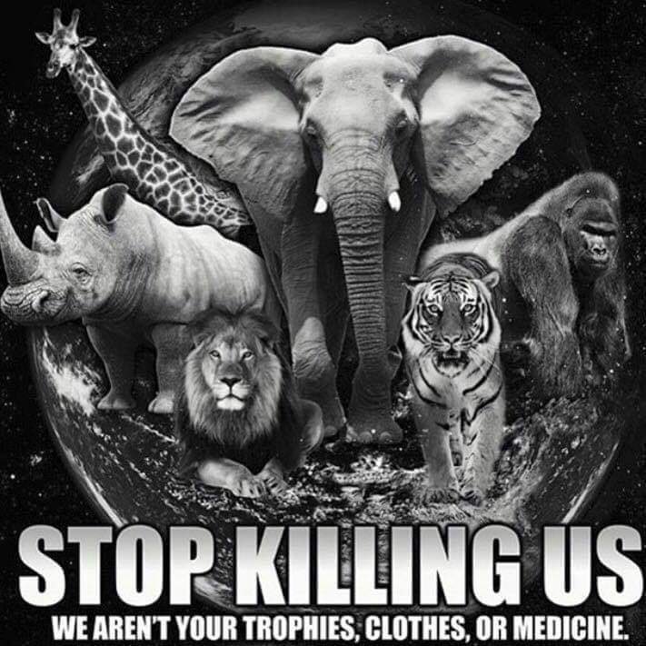 Please Share

#ThoughtForTheDay 

🚨 STOP KILLING US 🚨

We AREN’T your trophies, 
clothes or (fake) medicine!

There is NO excuse for #AnimalAbuse EVER 🚫!