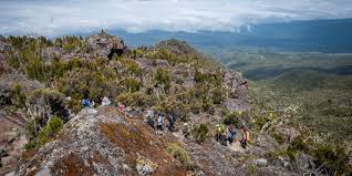 Kitano_Tours's tweet photo. Embarking on the 6-day Lemosho Route climb of Mount Kilimanjaro with Kitano Tours and Safaris was an experience beyond compare. From the moment we set foot on the trail to the triumphant summit at Uhuru Peak, every step of the journey was marked by expert guidance https://t.co/3c9ttOfc2a