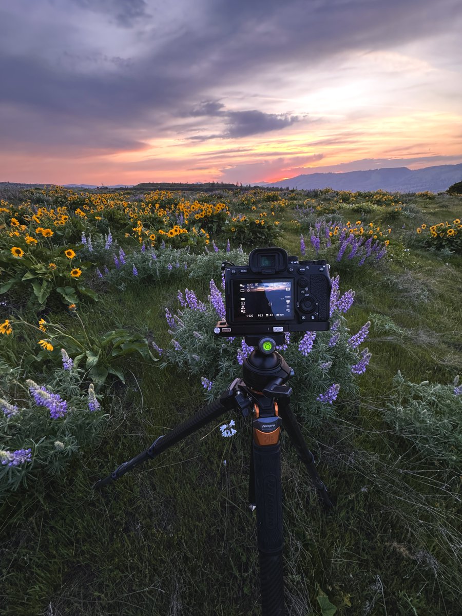 FotoproOfficial's tweet photo. Rowena Crest Sunset 🌼🏔️ #LandscapePhotography #OriginPlus
⚡️ 32% stronger twist resistance vs. traditional round legs
⚡️ 20kg Max load
⚡️ Lightweight to carry around and quick set-up
📷 @cmiguelphotography
🔗https://t.co/teFdTSC4yt
#fotopro #tripod #cameragear https://t.co/KVw6t04jDn
